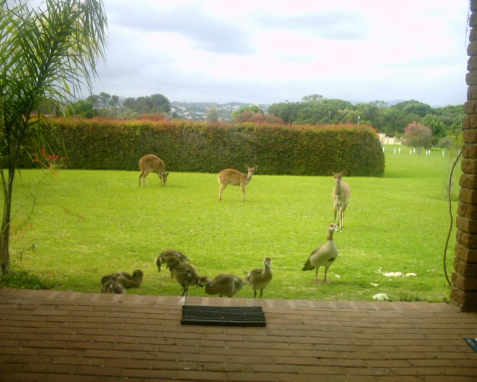 Brenton Lake Holiday Cottages Luaran gambar