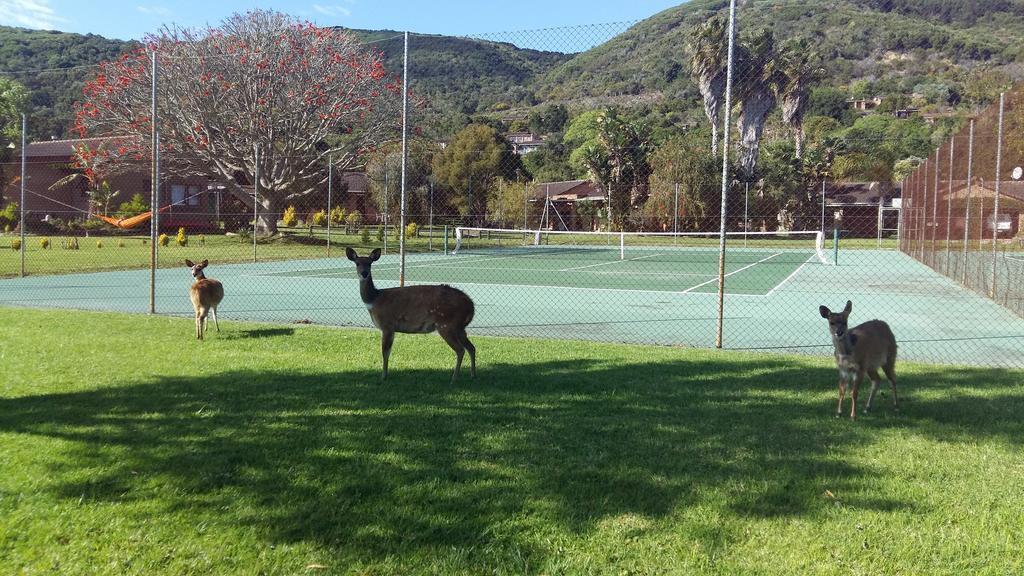 Brenton Lake Holiday Cottages Luaran gambar